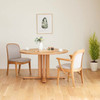 SHIRAKAWA NEO Round Table