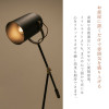 Azumaya Stand lamp | HIKA