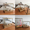 SHESAY Brass Frame Display Box Wide
