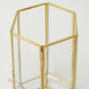 SHESAY Brass Frame Glass Case Hexagon