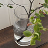 SHESAY Wide-mouthed Glass Flower Vase