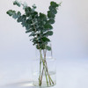 SHESAY Locate Crown Glass Flower Vase
