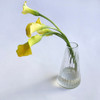 SHESAY Crown Glass Cooleline Flower Vase Alp