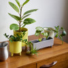 SHESAY Rectangular Porcelain Planter