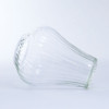 SHESAY Crown Glass Wise Line Flower Vase Olivier