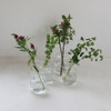 SHESAY Crown Glass Broadline Flower Vase