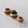 SHESAY Wood Tiny Flower Pot Bowl