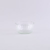 SHESAY Crown Glass Cooleline Salad Bowl Cercle