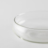 SHESAY Crown Glass Pasta Plate