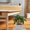 KAIBARA Nini Hinoki Bed