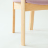 Rapt Dining Chair