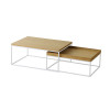 TAKANO Linier Living Table 