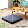 IKEHIKO 3-layer Cushion Furio 65