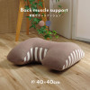 IKEHIKO Elmer Back Support Cushion