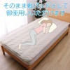 IKEHIKO Deodorizing Bed Pad