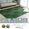 IKEHIKO DX Rene Rush Rug/ Carpet