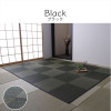 IKEHIKO DX Noah Rush Rug/Carpet