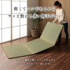 IKEHIKO Foldable Placed tatami mat 3 units 