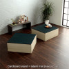 IKEHIKO Small Tatami Mat with Cardboard Stand Set