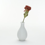 SHESAY Teardrop Vase with Dried Flower