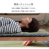 IKEHIKO Kotori Igusa Sleeping Mat