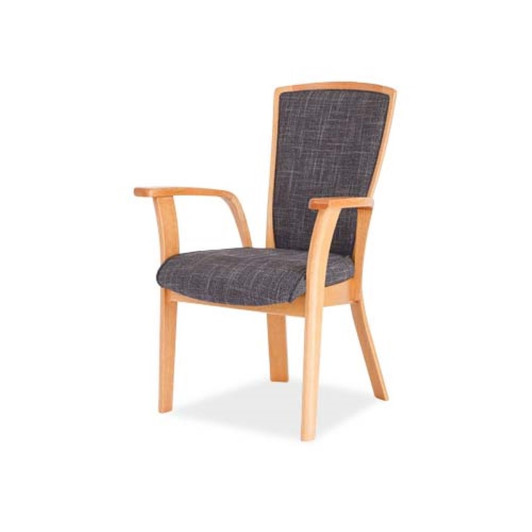 SHIRAKAWA KLIMT Dining Armchair