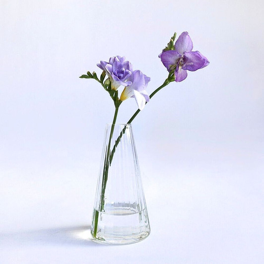SHESAY Crown Glass Cooleline Flower Vase Alp