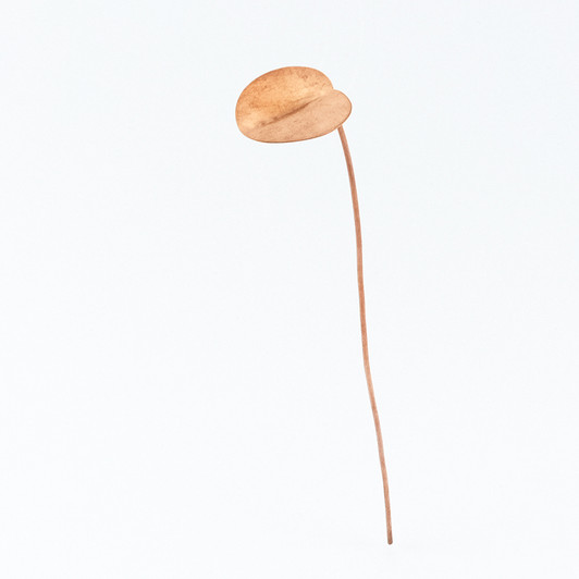 SHESAY Copper Flower Life Stick Water Poppy