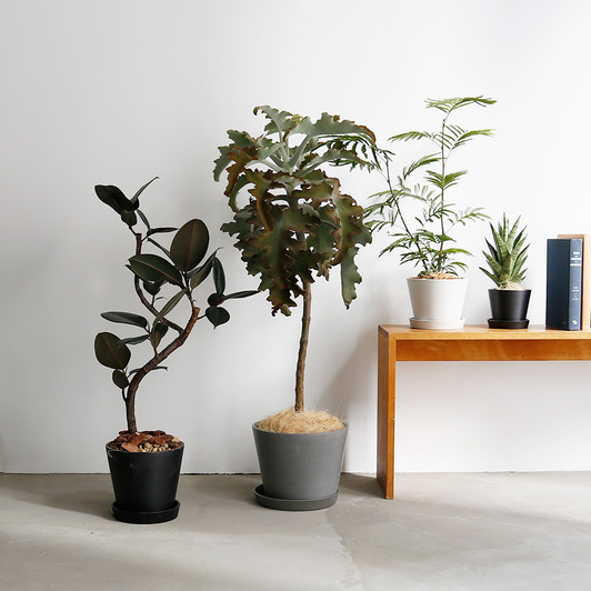 SHESAY Eco-friendly Flower Pot