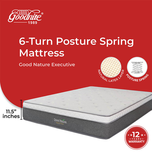 Goodnite Good Nature Executive Posture Spring Mattress 