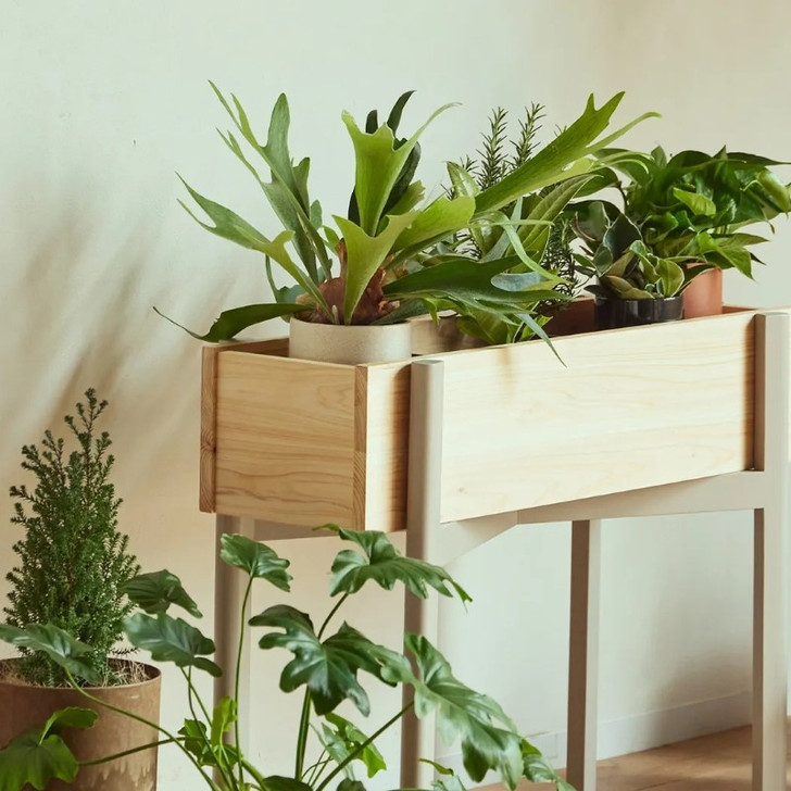 MORITA 9X9 HINOKI Planter
