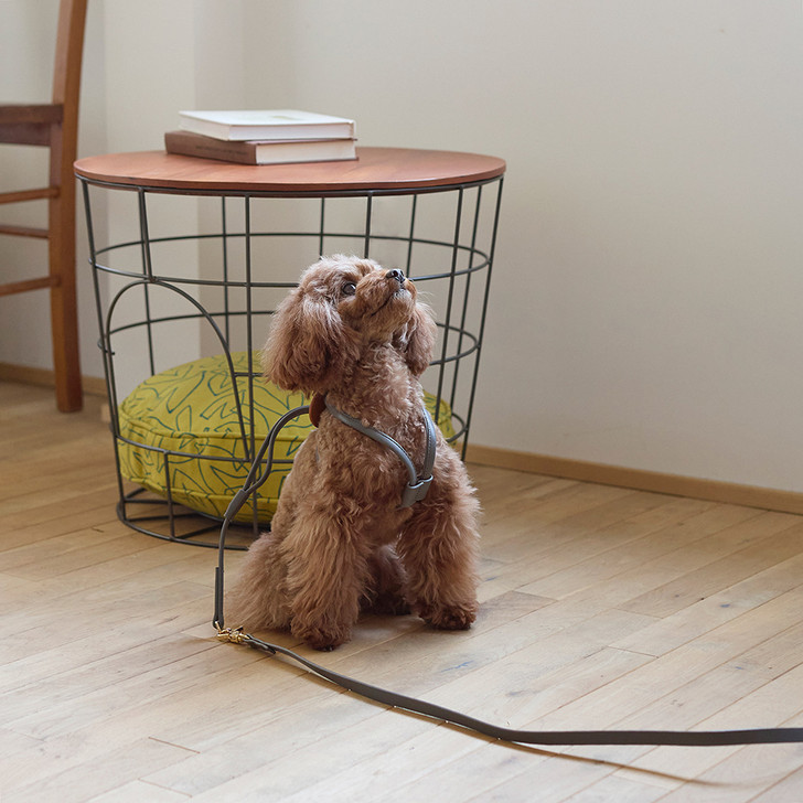 SHESAY IRON basket table