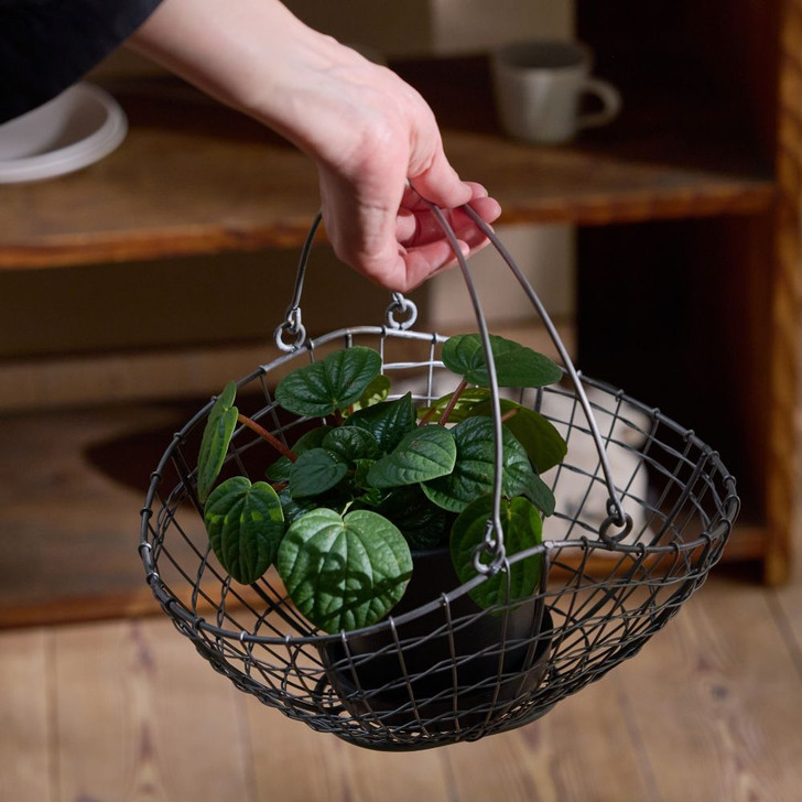 SHESAY Iron Boat Basket