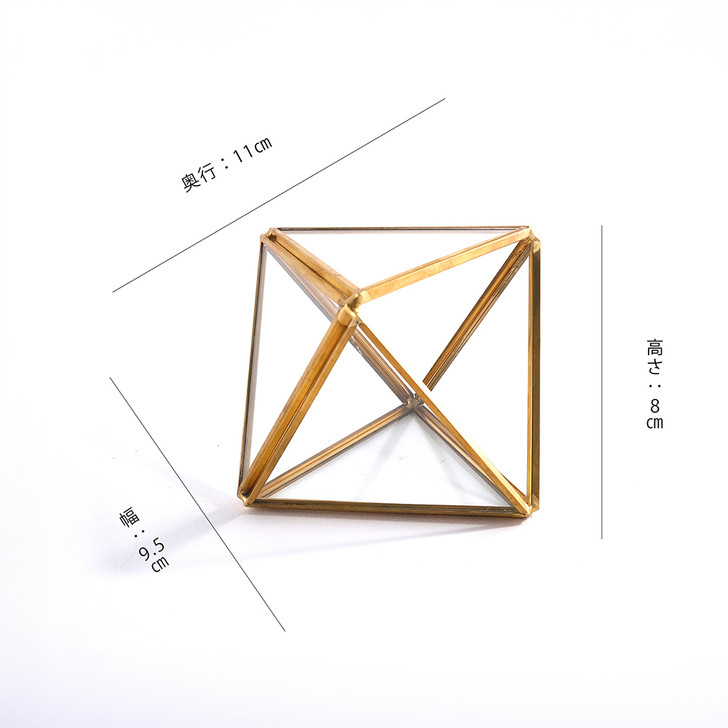 SHESAY Brass Frame Glass Case