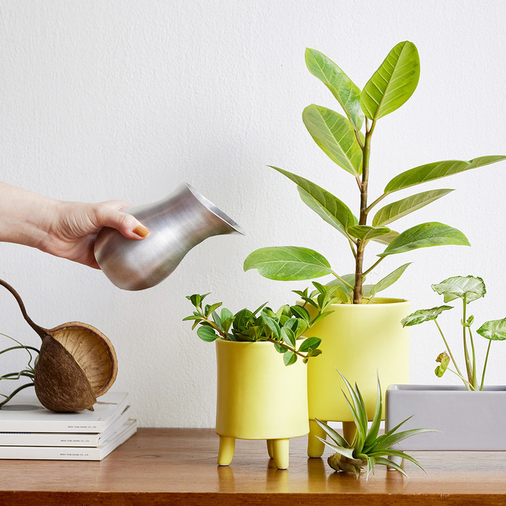 SHESAY Aluminum Pitcher