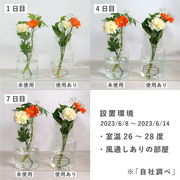 SHESAY Copper Flower Life Leaf Set