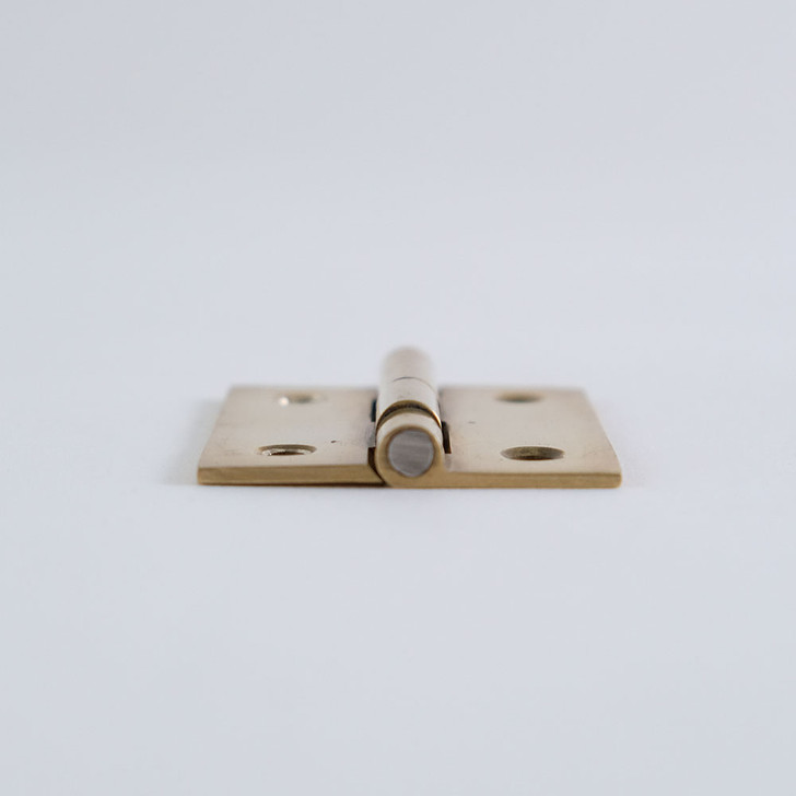 SHESAY Brass Hinge