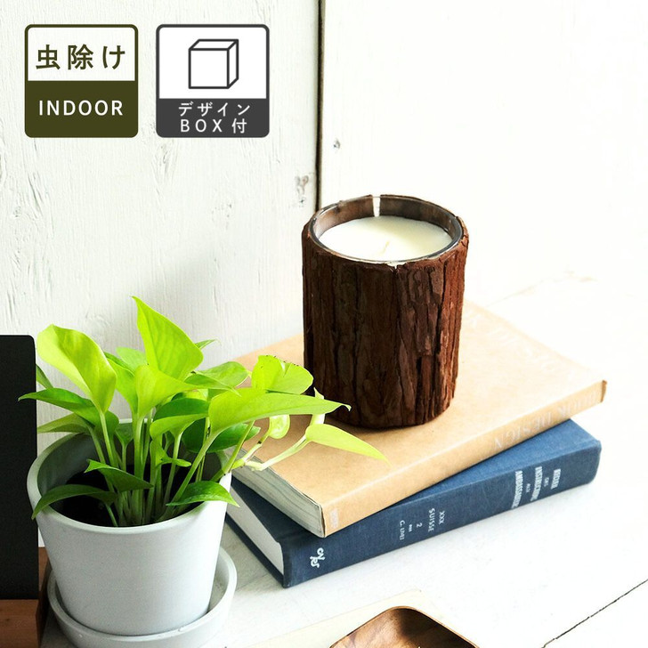 SHESAY Trunk Candle Tall