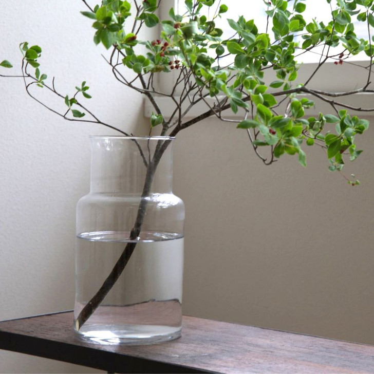 SHESAY Wide-mouthed Glass Flower Vase