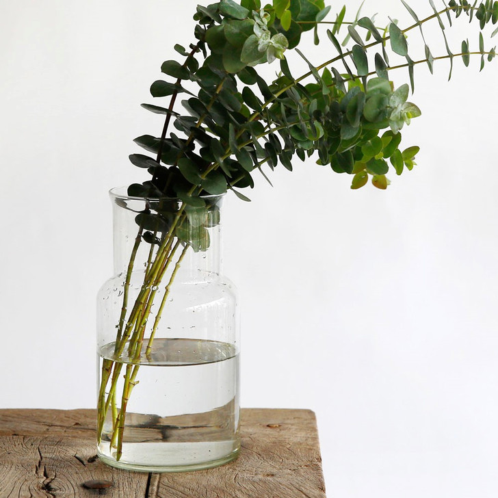 SHESAY Wide-mouthed Glass Flower Vase