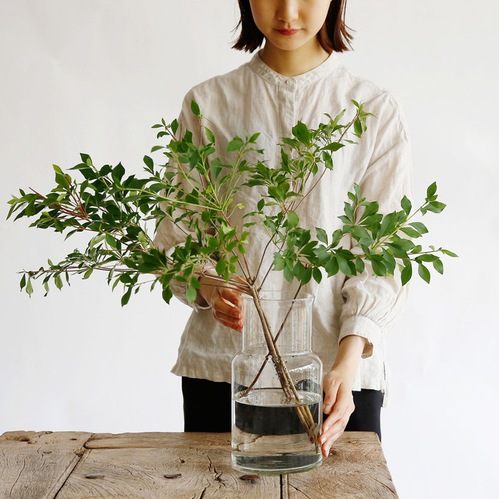 SHESAY Wide-mouthed Glass Flower Vase