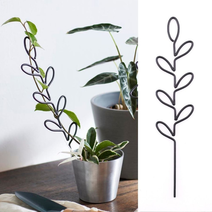 SHESAY Spear Leaf Iron Plant Support 