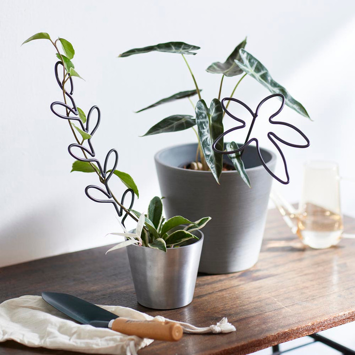 SHESAY Broad Leaf Iron Plant Support 