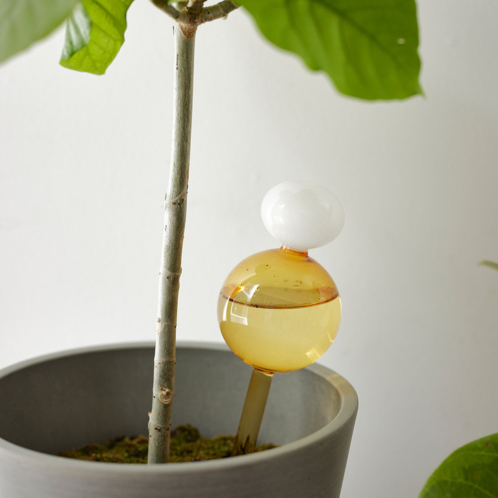 SHESAY Watering Dispenser