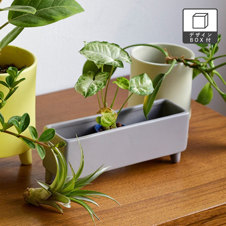 SHESAY Rectangular Porcelain Planter