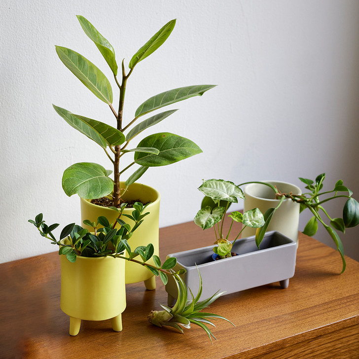 SHESAY Porcelain Planter