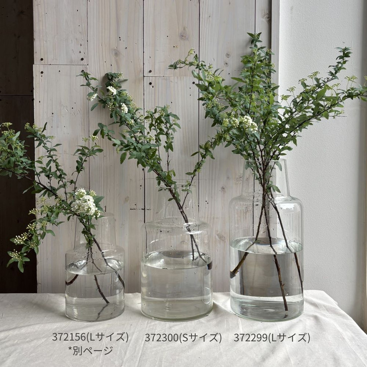 SHESAY Large Crown Glass Flower Vase Locate