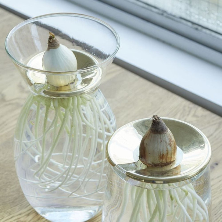 SHESAY Brass Round Plant Tray