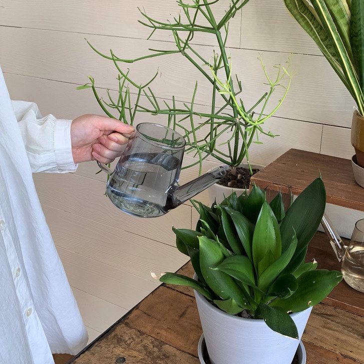 SHESAY Lightly Glass Watering Pot 