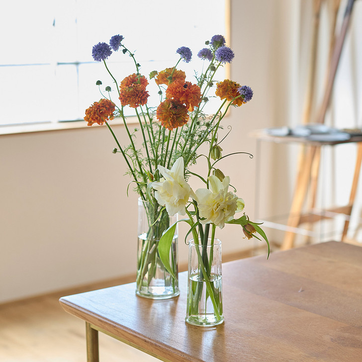 SHESAY Crown Glass Wise Line Flower Vase Shilandar